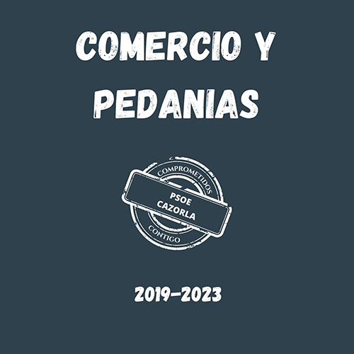 BIENESTAR SOCIAL Y MAYORES