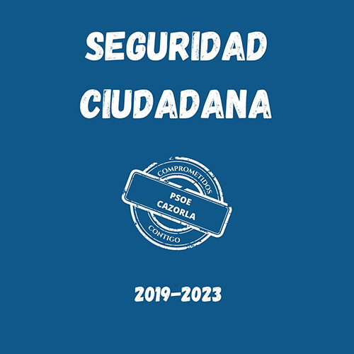 SEGURIDAD CIUDADANA